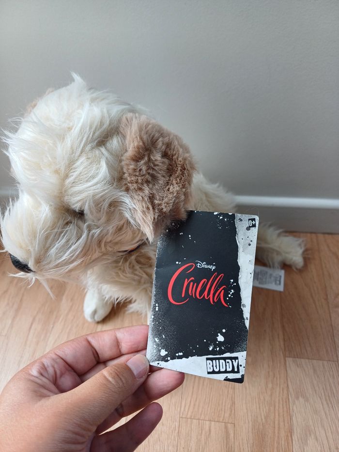 Peluche chien Buddy Cruella - photo numéro 2