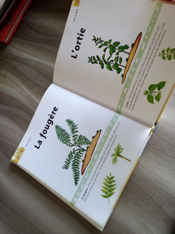 Mon livre d'images - photo numéro 3