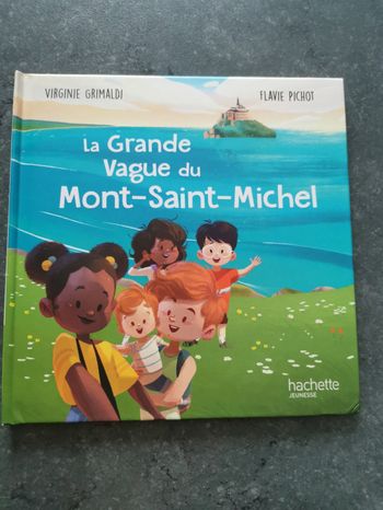 Livre la grande vague du Mont Saint Michel