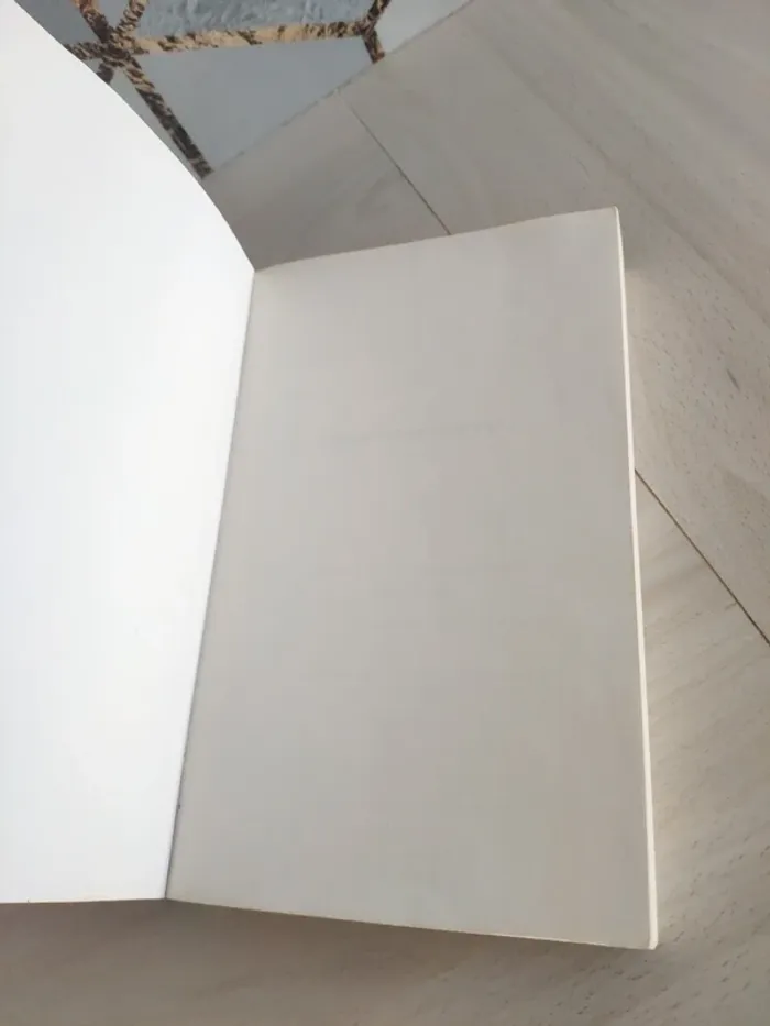 Livre grand format J'ai dû rêver trop fort Bussi - photo numéro 9