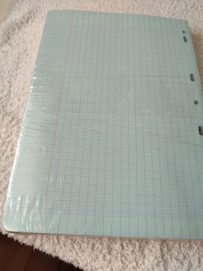 #vivi 190362scolaire - photo numéro 2