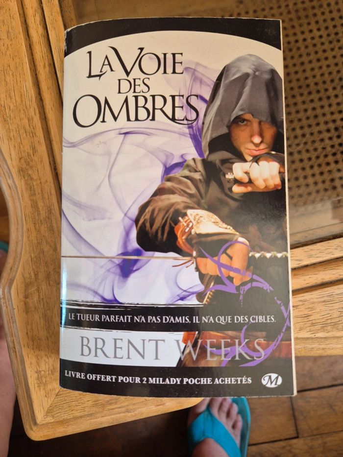 livre l'ange de la nuit de Brent Weeks