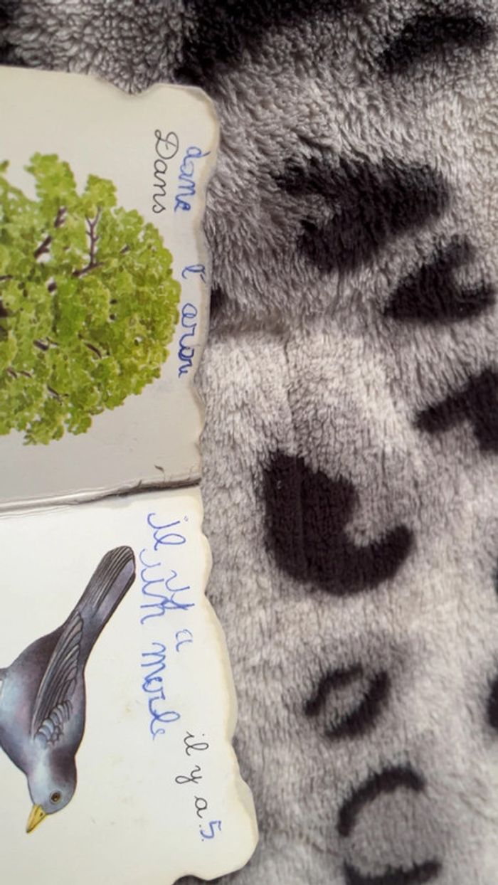 Dans la jardin il y a - photo numéro 6