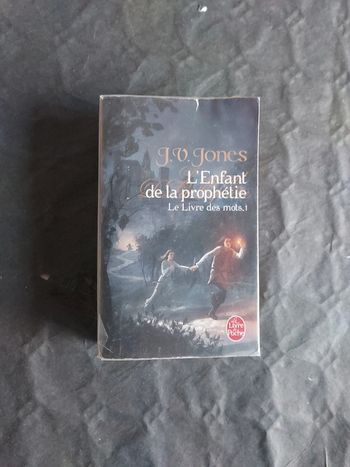 L'enfant de la prophétie- Le livre des mots 1