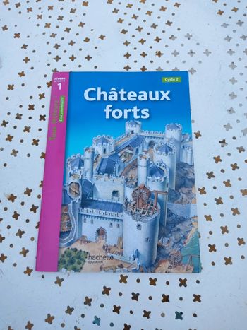 Livre châteaux forts