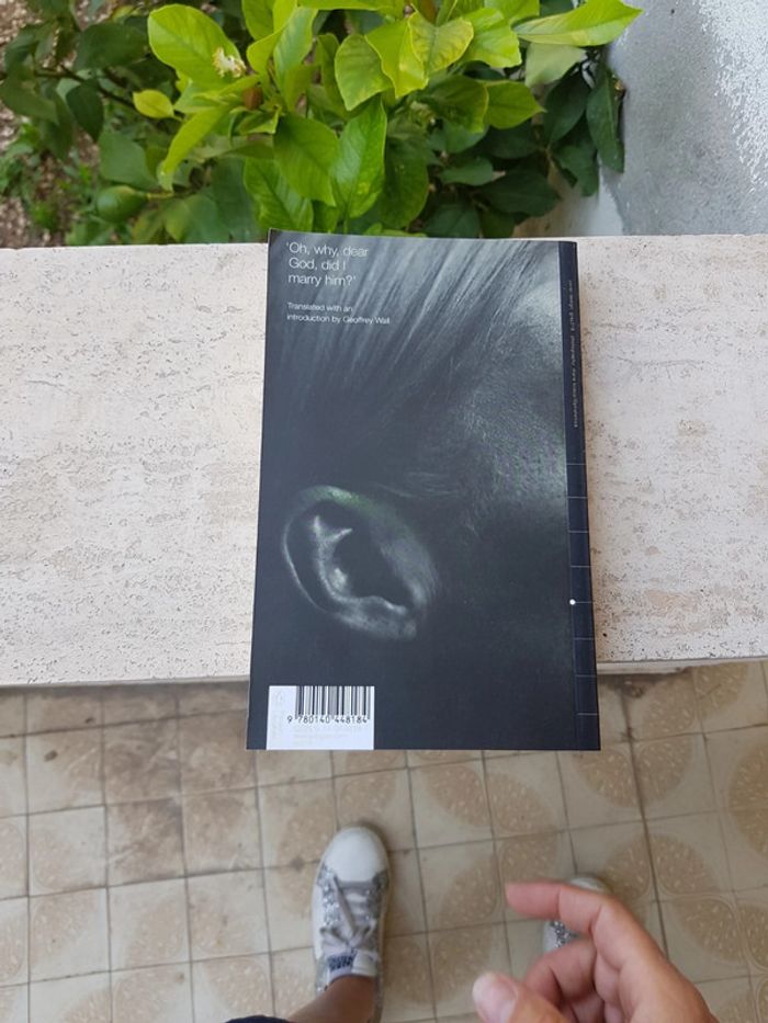 Madame Bovary Flaubert - photo numéro 3