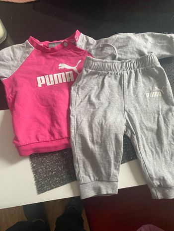 Ensemble puma