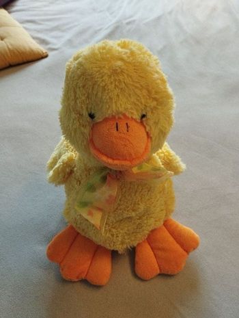 Peluche poussin