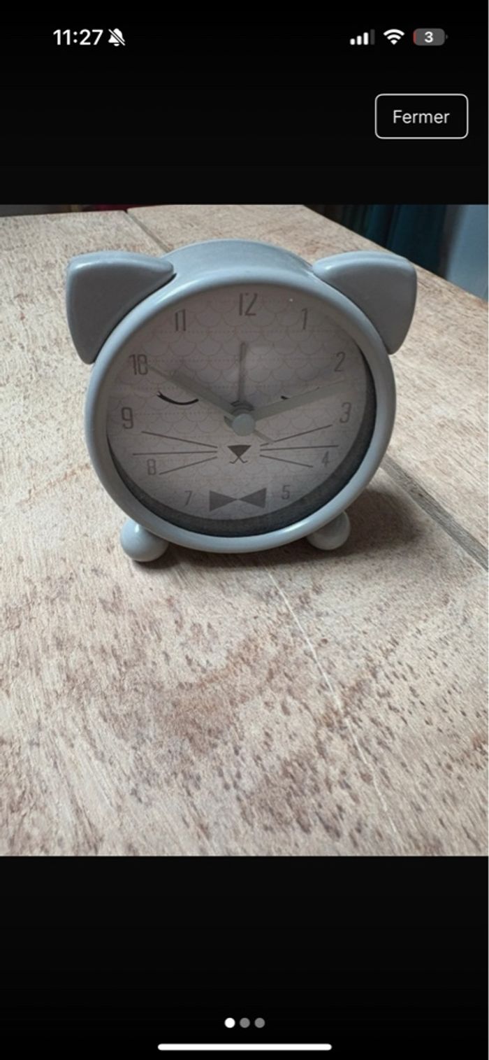 Réveil chat - photo numéro 3