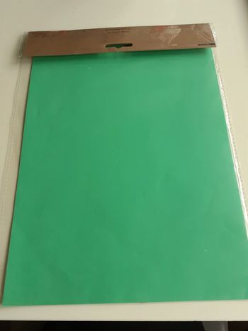 feuille a4 verte x10