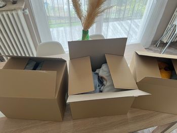 3 carton 18mois garçon