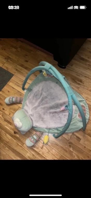 Tapis de jeux chat les pacha chat moulin roty très bon état TU