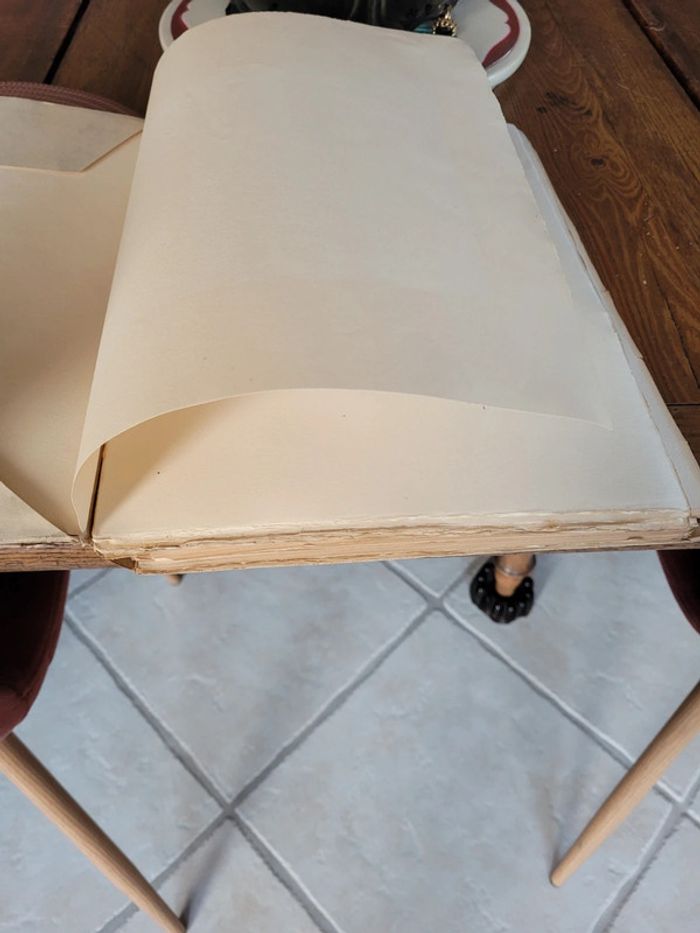 Ancien livre la native - photo numéro 3