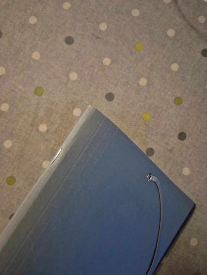 Trieur - photo numéro 10