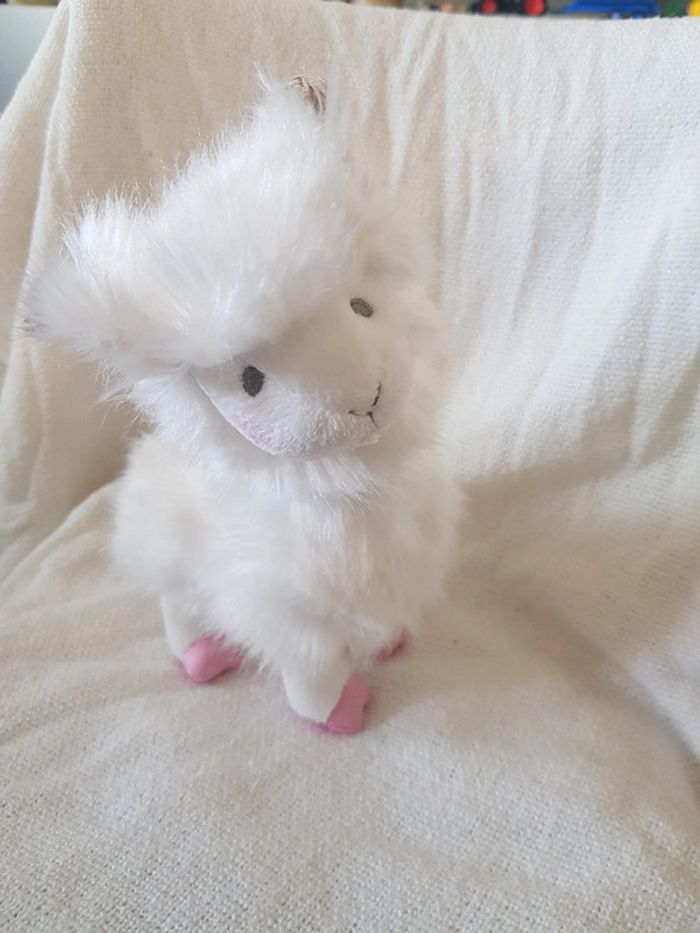 Lama blanc Histoire d ours