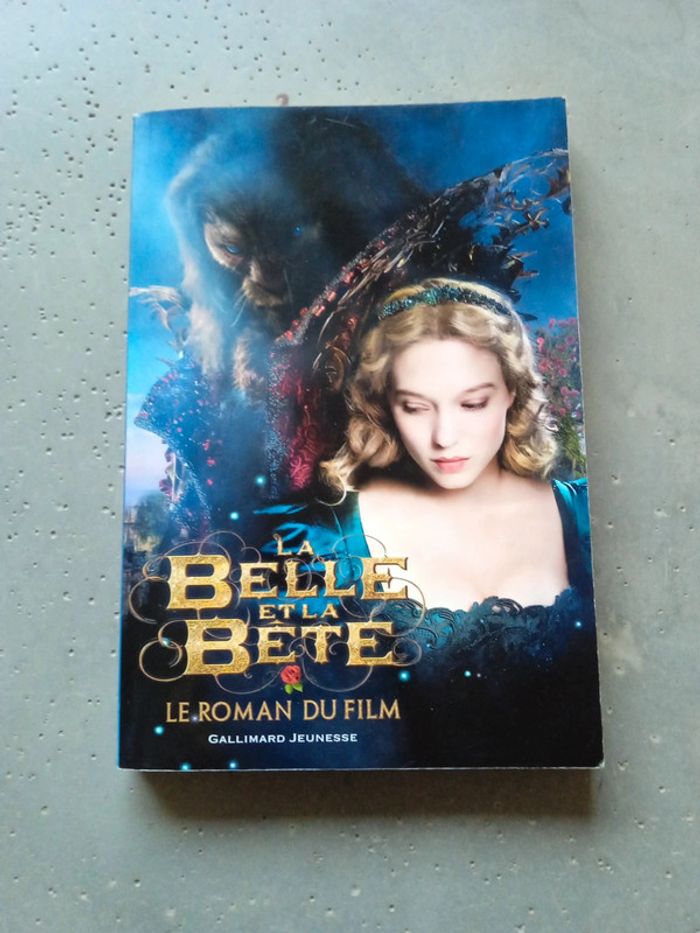 Livre" la belle et la bête"