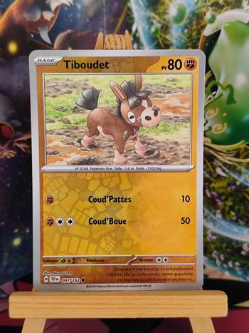 Tiboudet reverse 91/162 Forces Temporelles