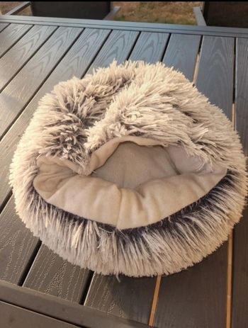 Coussin chat