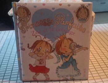 Princesse parfaite. Zoé et le courage