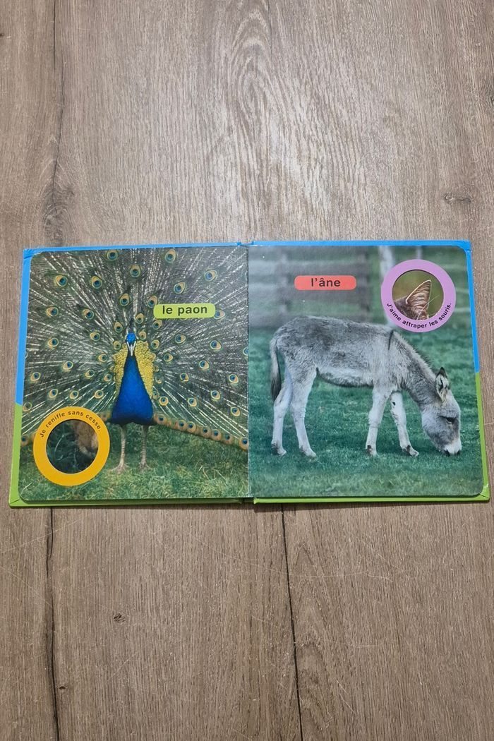 Livre Coucou la poule - photo numéro 6