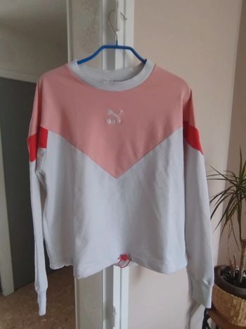 Sweat puma