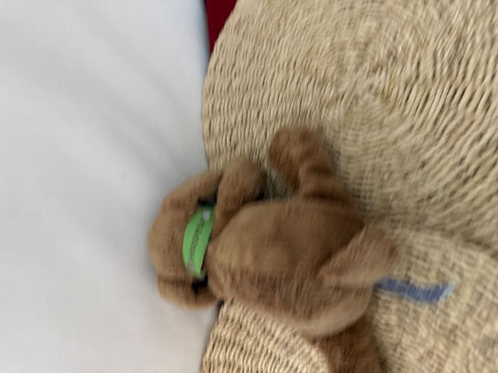 doudou chien cappy horse - photo numéro 6