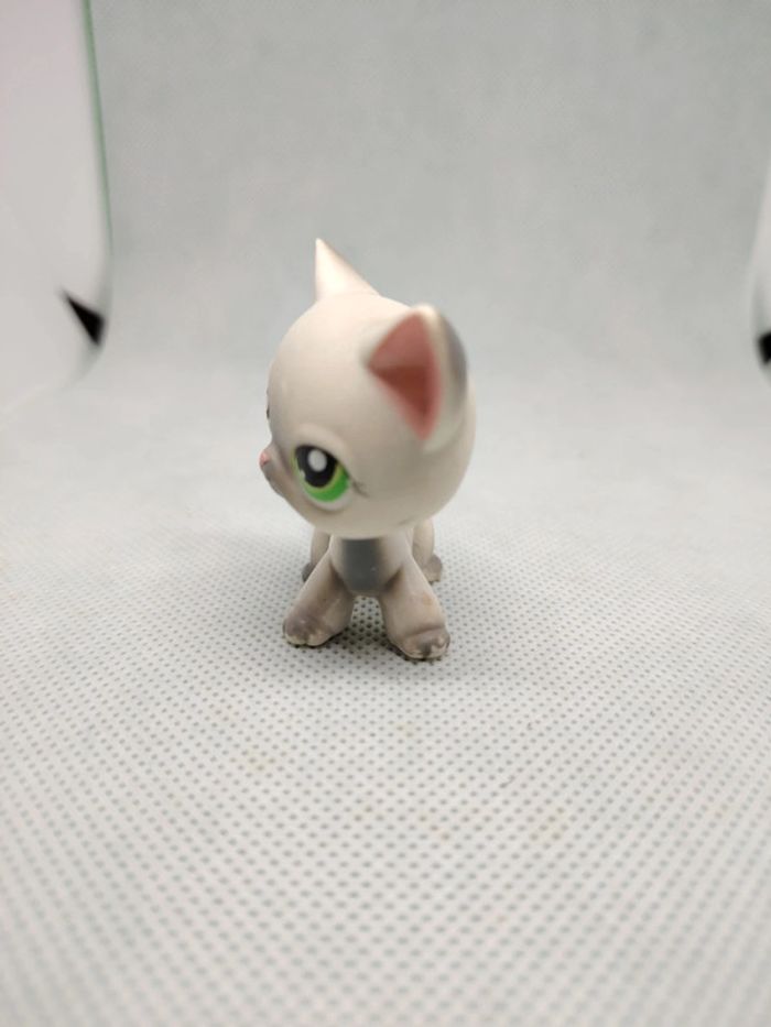 Petshop Littlest petshop chat européen #125 - photo numéro 3
