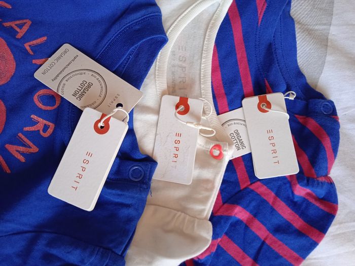 Lots de 3 sweats coton organic - photo numéro 5