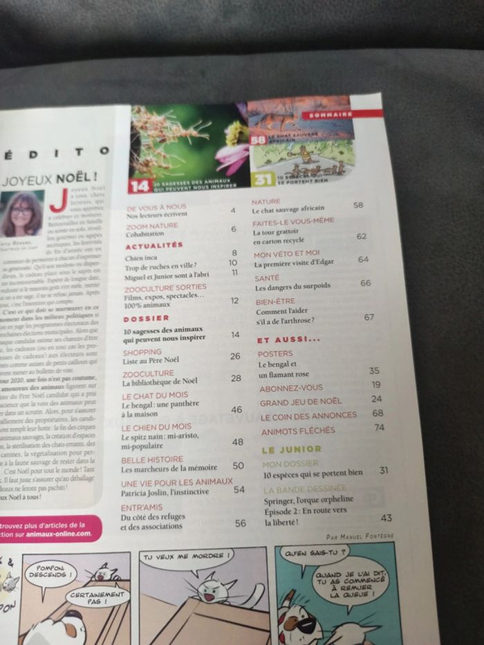 Magazine 30 millions d'amis numéro 379 décembre 2019 - photo numéro 3
