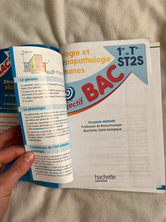Bac st2s - photo numéro 5
