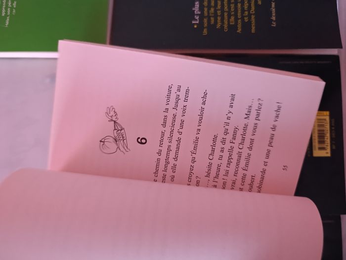 Lot de 7 livres pour enfant Fanny le ranch et les dragons de Nalsara - photo numéro 4