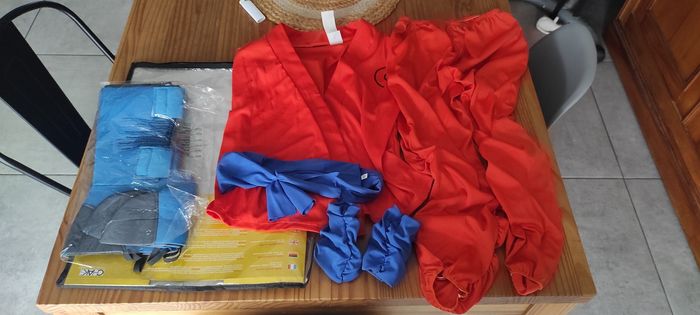 Costume dragonball z