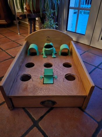 Jeu de la grenouille  ( version plastique  )