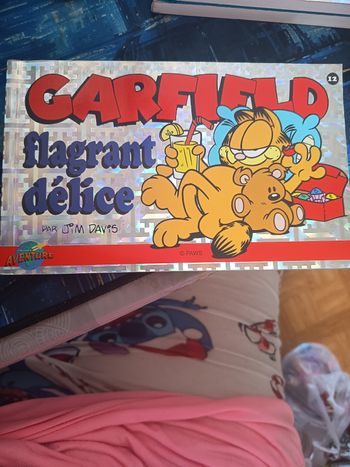 Garfield flagrant delice