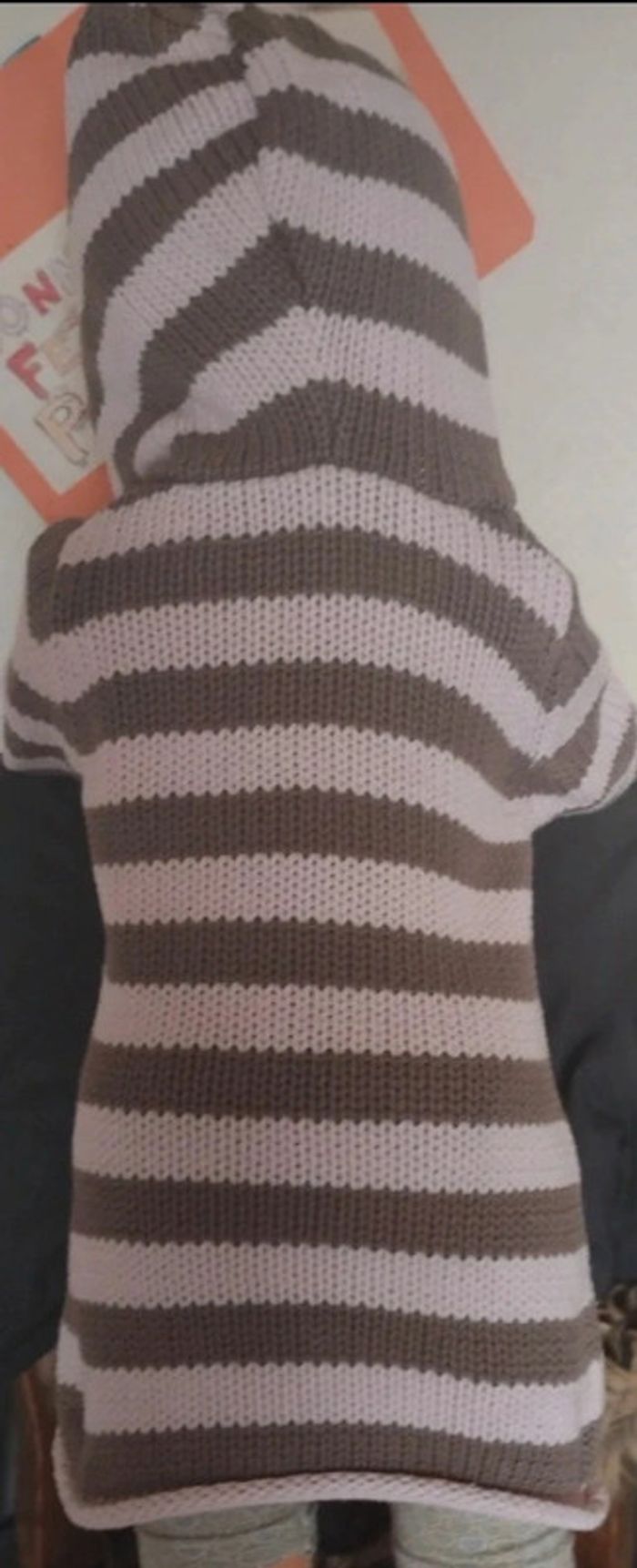 Pull à capuche - photo numéro 4