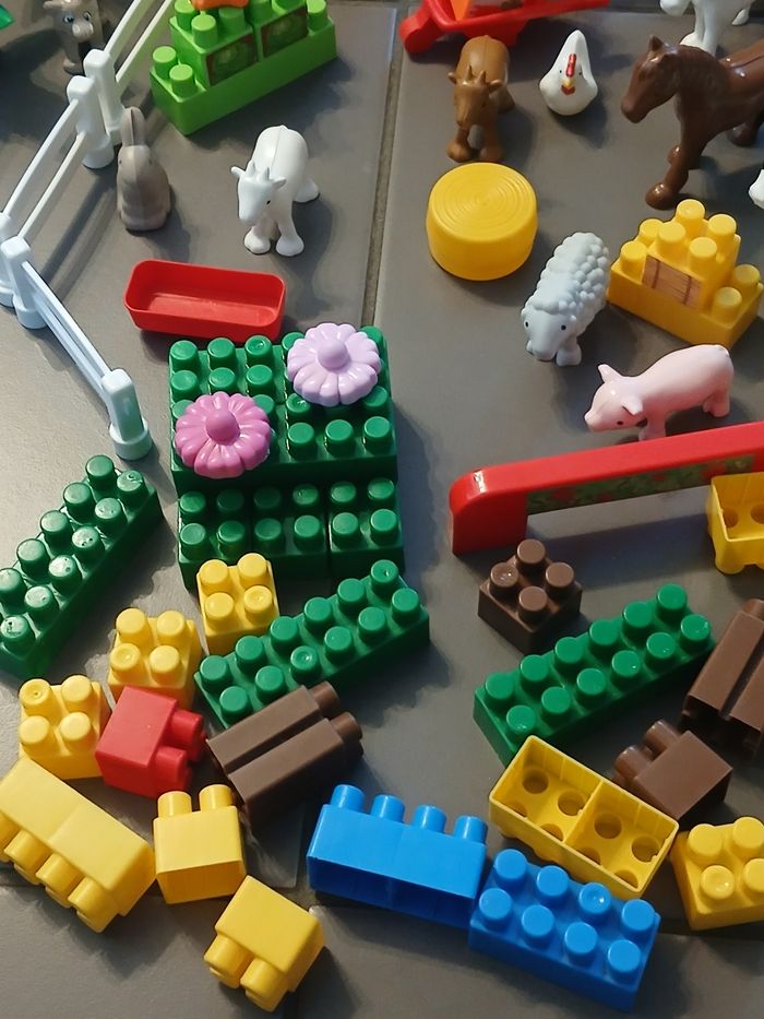 Ferme centre équestre Abrick Ecoiffier - photo numéro 6