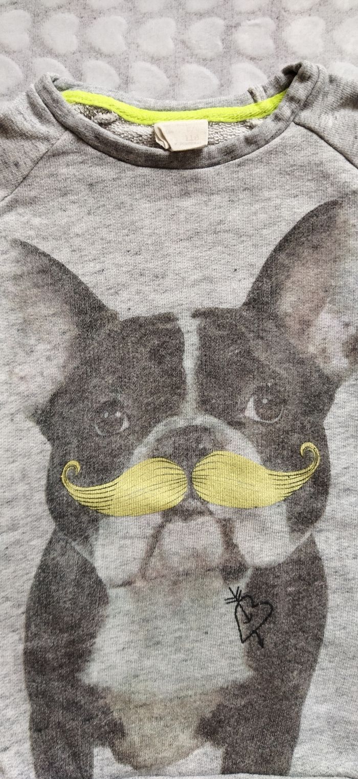 Sweat Zara - photo numéro 3