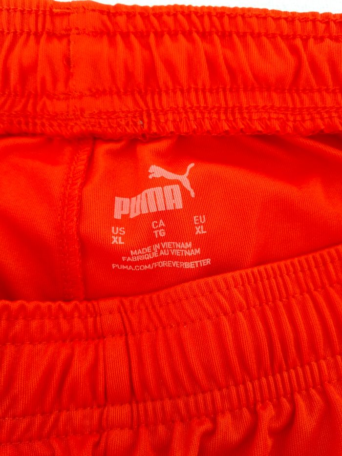 Short puma - photo numéro 2
