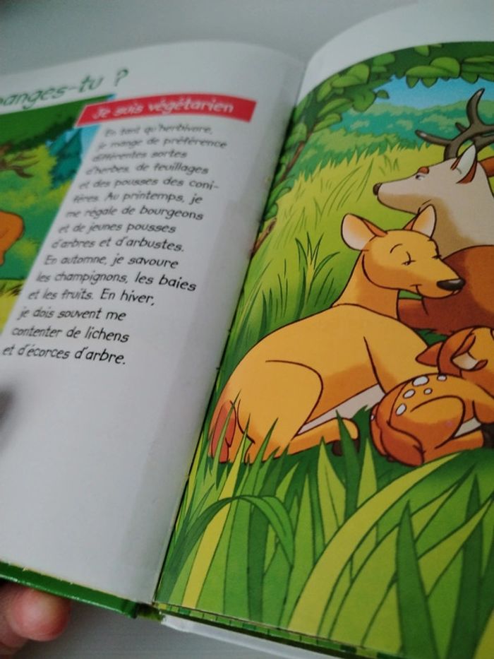 Altaya Les animaux de la forêt n°1 Le cerf - photo numéro 8