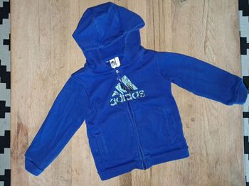 Sweat adidas bleu 18-24 mois