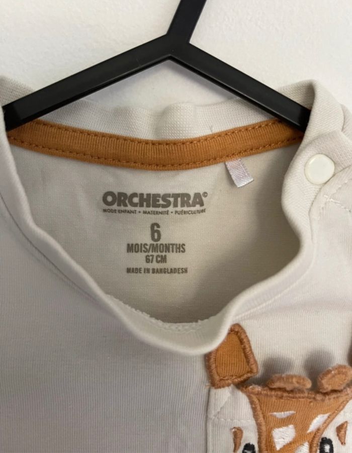 Combi short - photo numéro 2