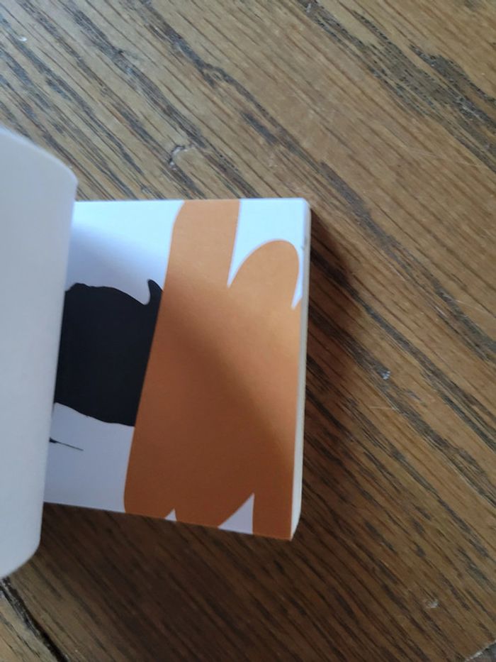 Flipbook Chaviré - photo numéro 3