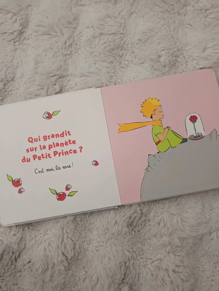 Livre c'est moi le petit prince - photo numéro 3