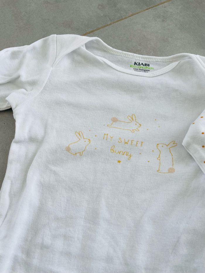 Lot de 2 bodies manches longues lapins - photo numéro 2