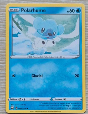 Polarhume Stars Étincelantes