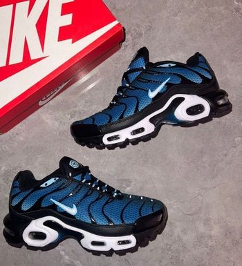 Nike tn bleu 44