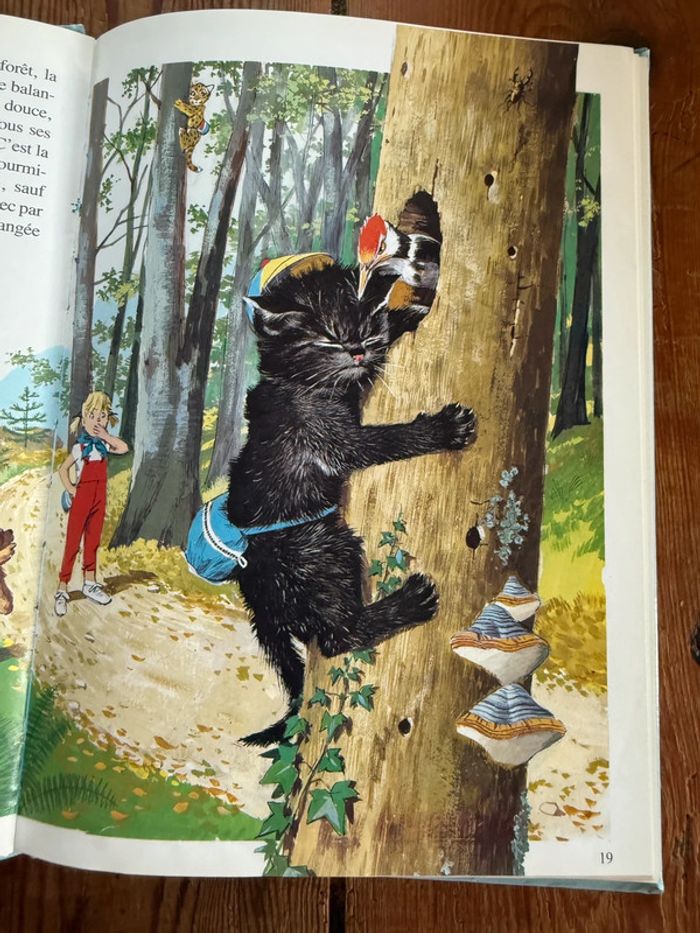 Recueil ouvrage 3 histoires livre Caroline vacances + en randonnée + croisière Hachette - photo numéro 4