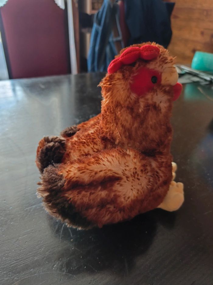 Poule qui cacete - photo numéro 4