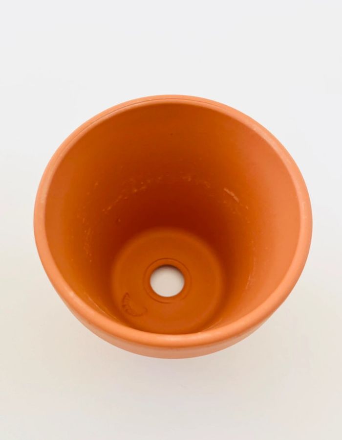 Lot de 6 Pots en Terre Cuite de 7 x 6 cm - photo numéro 2