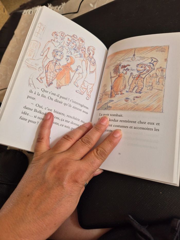 livre la vie trépidante des Bolkodaz - photo numéro 2